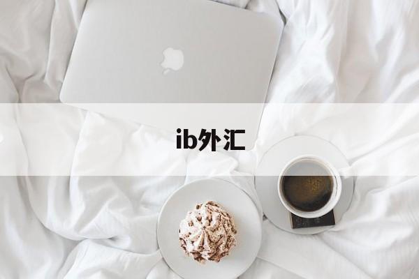 ib外汇(IB外汇平台)